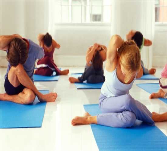 yin-yoga-teacher-training yin-yoga-teacher-training-in-india