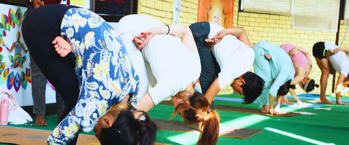 300-hour-yoga-teacher-training-in-india